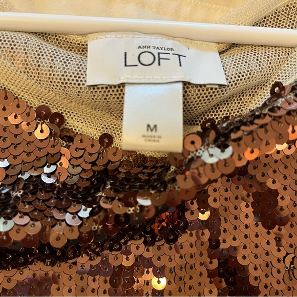 Ann Taylor LOFT Bronze and Cream Sequin Mesh Cap Sleeve Top Size Medium - Picture 2 of 13